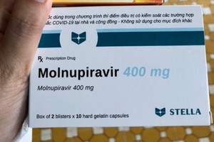 Ministry provides information on Molnupiravir