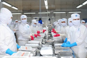 Important step forward for Vietnamese, EU firms in socio-economic recovery