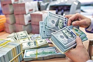 Remittances to HCMC total US$6.6 billion last year
