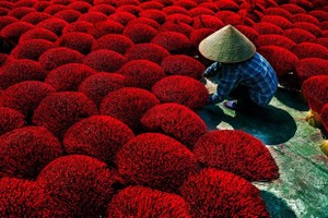 Local image wins prize at CEFF International Environmental Photography