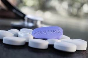 Drug watchdog grants permission for locally-made drugs containing Molnupiravir