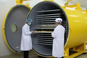 Demand for Vietnamese fruits and vegetables skyrockets overseas