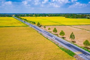 Vietnamese, Korean schools cooperate to train highly qualified human resources