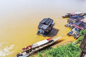 Mekong Delta development vital for Southern region