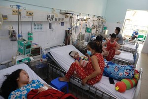 Dengue, HFMD cases up in Ho Chi Minh City