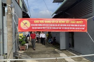 Dengue cases skyrocket in Vietnam with 22 deaths