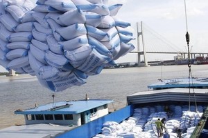 Vietnam expands exports of premium rice segment