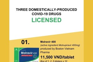 Three domestically-produced Covid-19 drugs licensed