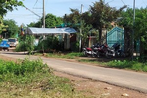 Pitbull-style dog mauls 8-year-old  boy to death