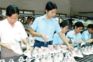 Chances await, but solutions to difficulties needed to maximise EVFTA