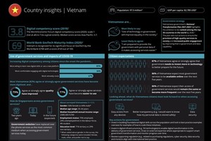 Vietnamese open to learning digital skills: survey