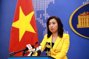 Spokeswoman: citizen protection for Vietnamese nationals going on
