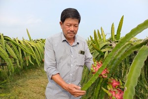 Gov’t strengthens support for farmers in Mekong Delta to use machines 
