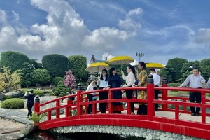 Vice Chairwoman tours tourist attractions in District 12, Hoc Mon district