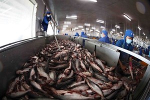 Seafood companies face a difficult third quarter