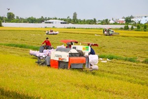 Harvesters in Mekong Delta can't operate for lack of oil