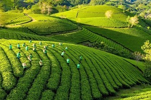 Action plan to promote green growth in agriculture