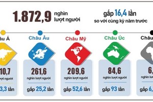 Number of foreign visitors to Vietnam down 11.2 percent in September