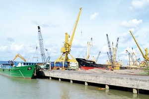 Investment in waterway transport infrastructure in Mekong Delta needed 