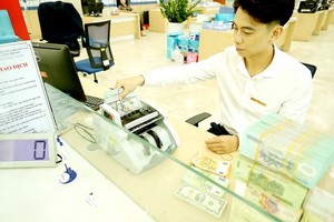 Adjustment of Vietnam dong's daily trading has certain effect on production