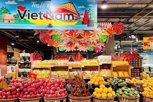 Embassy works to boost economic diplomacy between Vietnam, Thailand