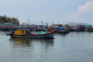 Vietnam works hard to prevent fishing vessels' infringement of foreign waters