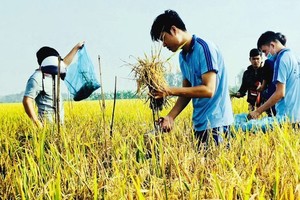  Human resource training crucial to pushing VN into top agricultural producer