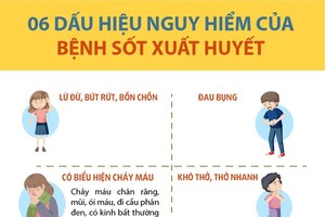 75 percent of adults succumb to dengue fever