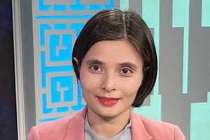 Freedom of business in VN not really protected: Business Environment Head