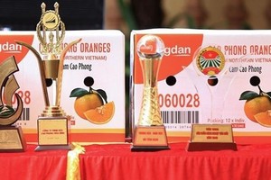 First batch of Cao Phong orange shipped to UK