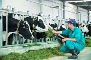 Livestock industry hopes difficulties will reduce in 2023