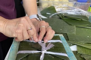 Tet gatherings held abroad by Vietnamese embassies