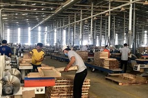 Vietnam leads Southeast Asia in wooden furniture exports to Australia 