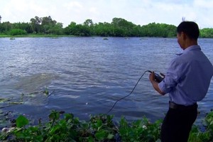 Scientists forecast saline intrusion to come early this year in Mekong Delta