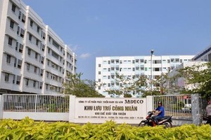 Gov't should take advantage of golden time to have flexible policies: economists