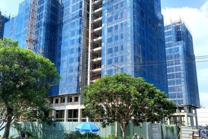 Real estate market cools down whereas rental demand high 