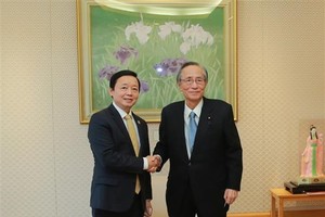 Deputy PM Tran Hong Ha meets Japanese parliamentarians in Tokyo 