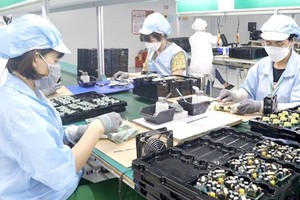 Global Minimum Tax a head-scratcher for Vietnamese policymakers