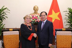 Vietnam always values relations with Chile: FM 