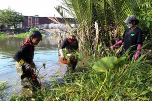 Youth in Ho Chi Minh City join hands to clean up trash-choked canals
