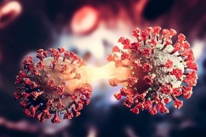 Hanoi health agency finds out XBB.1.5 variant