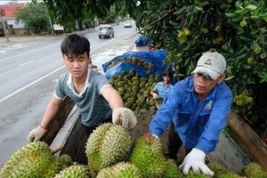 Bright prospect for fruit, vegetable exports in Q2 