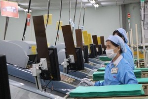 HCMC unlocks resources for development 