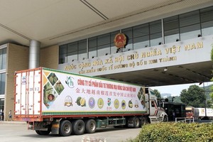 China demands stricter export procedures for food items