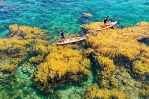 Sea and island tourism a ‘gold mine’ that needs to be tapped fully 