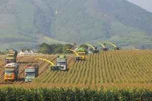 Private sector’s engagement needed for Vietnam to promote green growth: Experts 