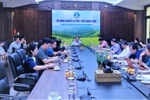 Vietnam to check standards for imported meat 