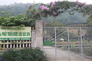 Consumers angry at buying industrial soy sauce at price of handmade product