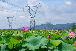 HCMC saves 10.2 million kWh of electricity 