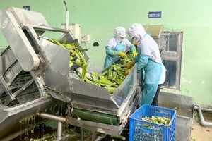 Government should reduce corporate income tax: Businesses